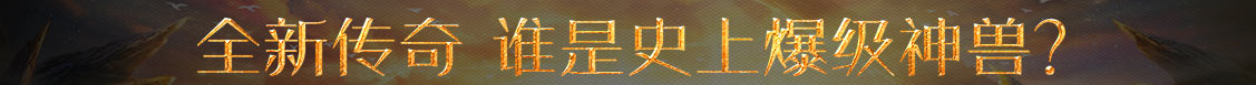 探索視界